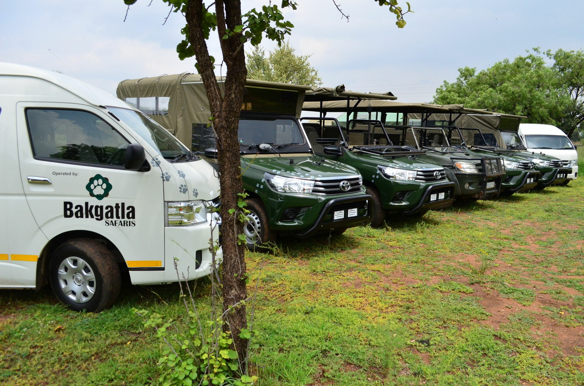 Pilanesberg Tented Safari Camp Mogwase Dış mekan fotoğraf