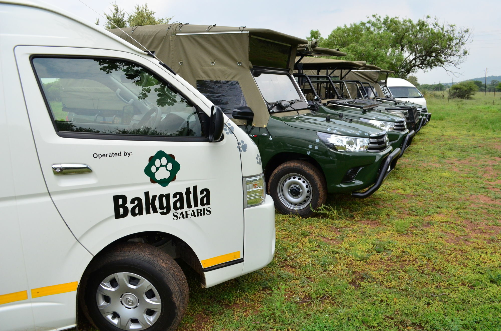 Pilanesberg Tented Safari Camp Mogwase Dış mekan fotoğraf